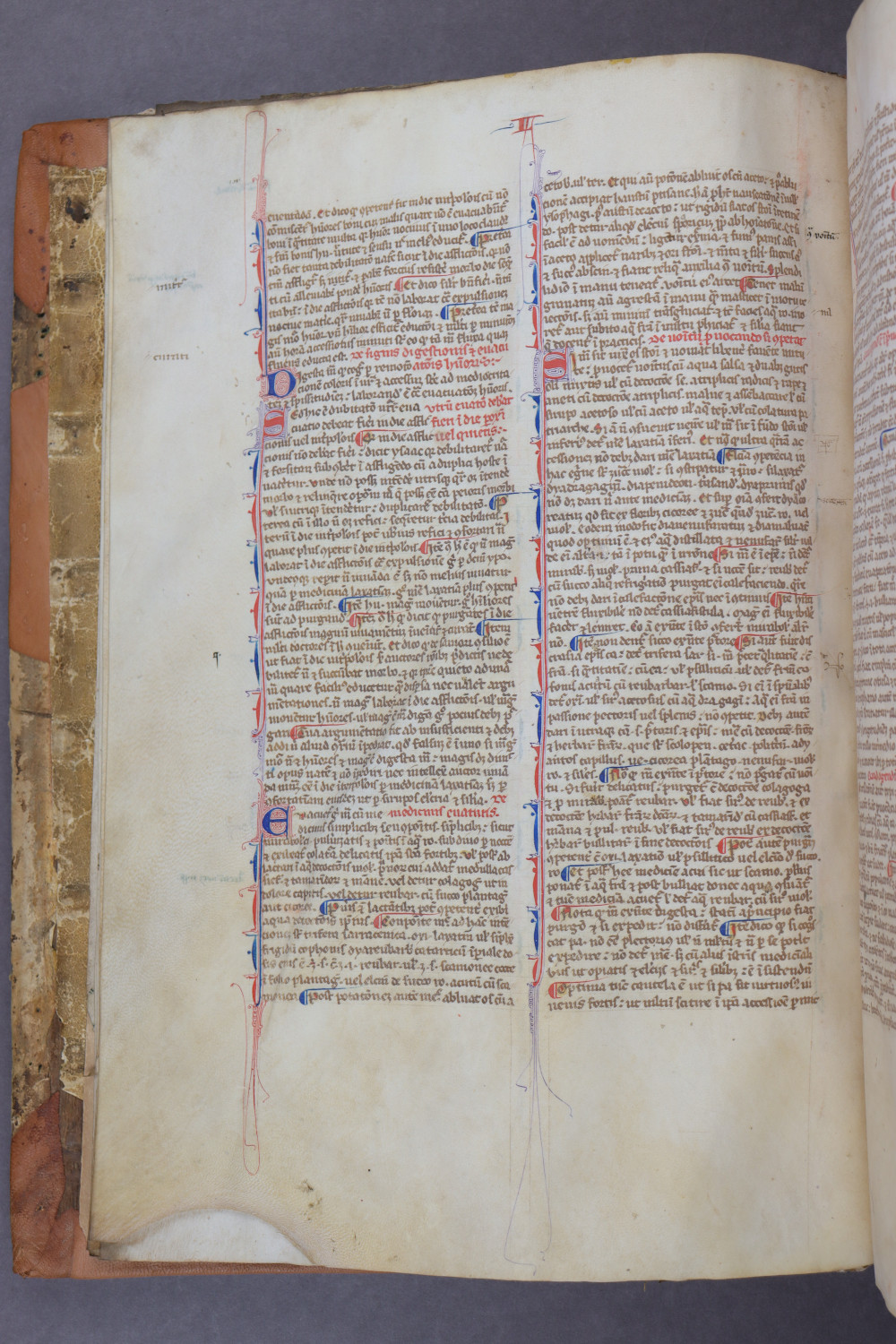 Folio 6 verso